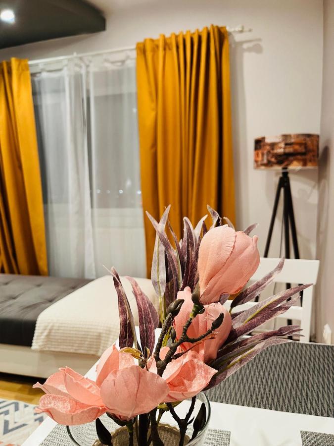 Confort View Apartment Iasi - 3 Rooms-Like Home 外观 照片